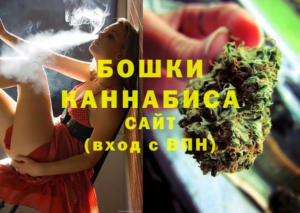 СК Кодинск