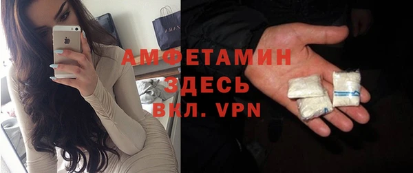 крисы Козельск