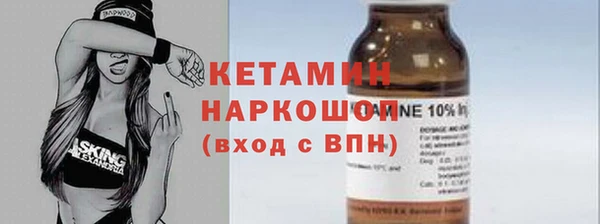 крисы Козельск