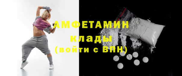 крисы Козельск