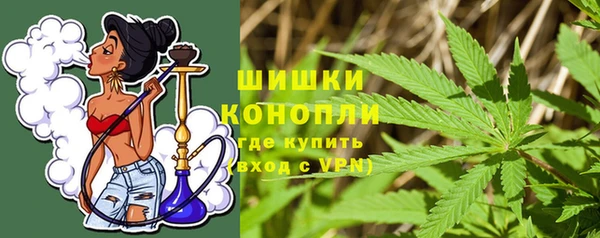 крисы Козельск