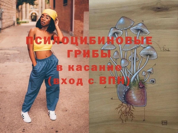 крисы Козельск