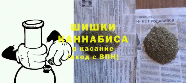 крисы Козельск
