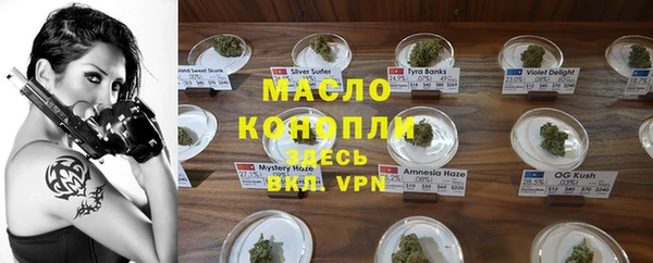 крисы Козельск