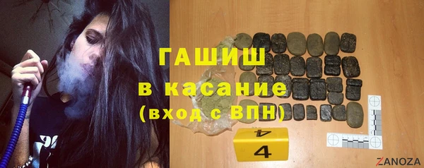 крисы Козельск